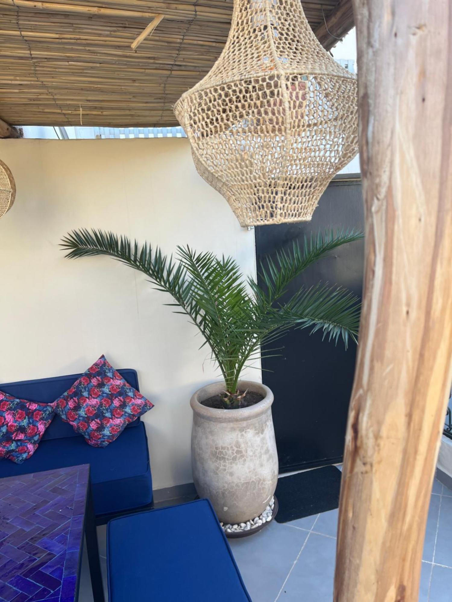Riad Julilu Privatise Marrakesh Eksteriør billede