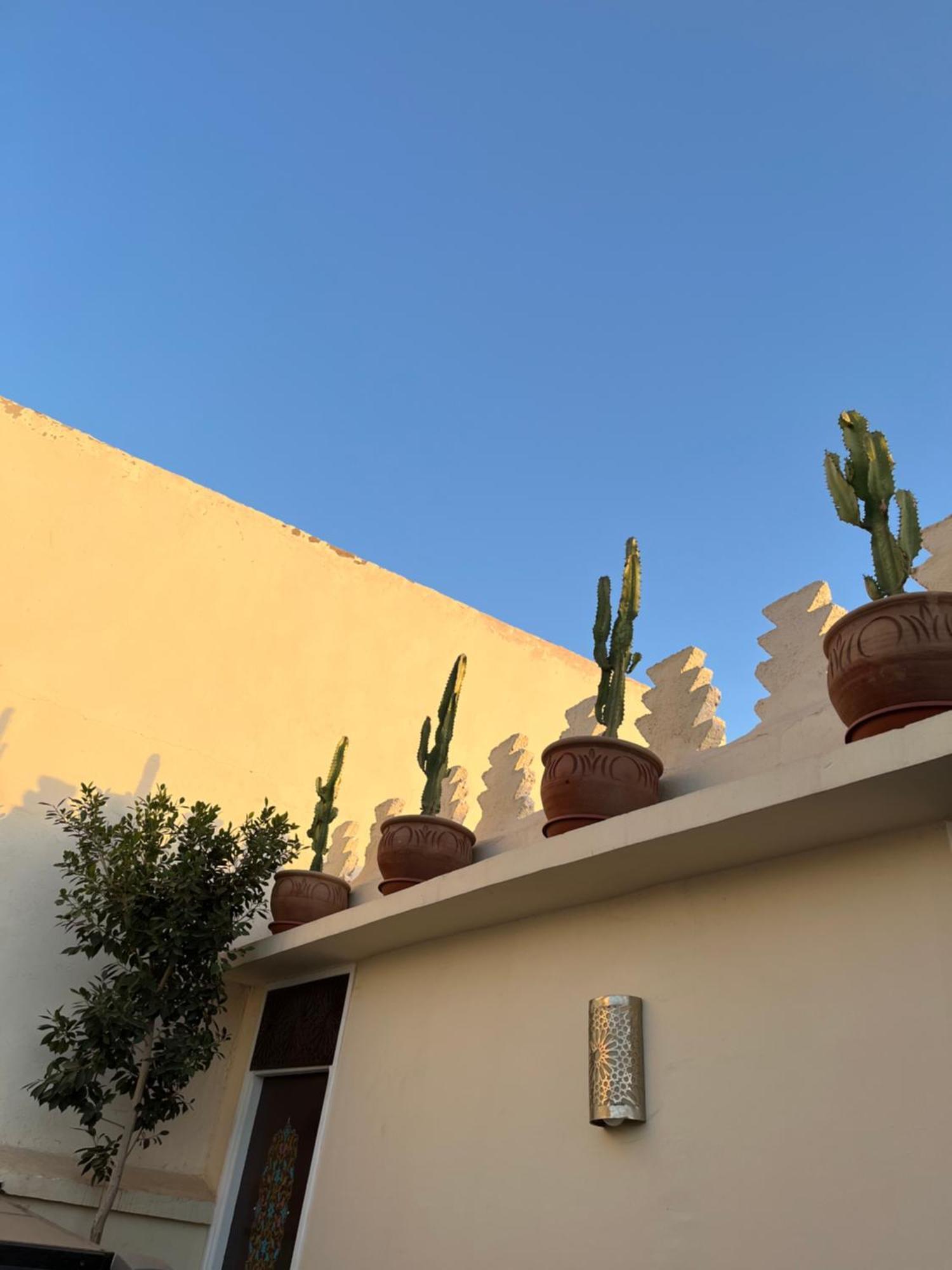 Riad Julilu Privatise Marrakesh Eksteriør billede